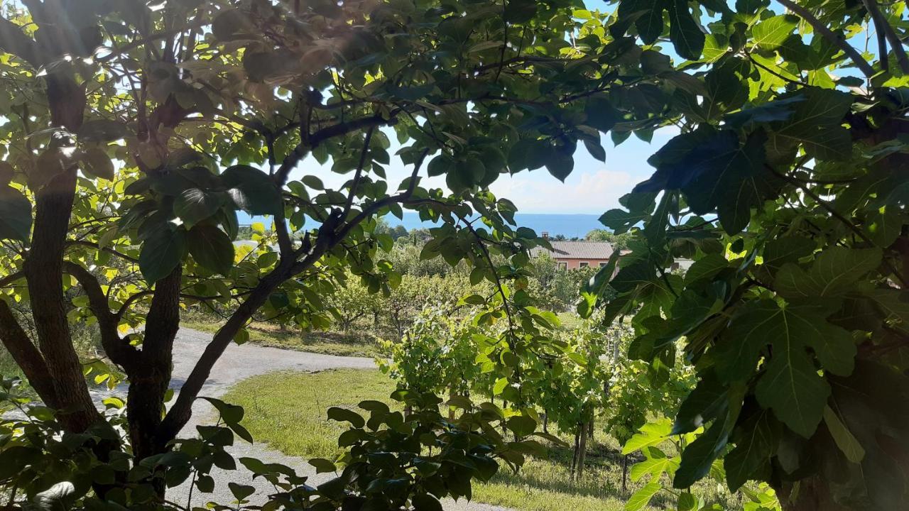 Apartma Tul Izola Bagian luar foto
