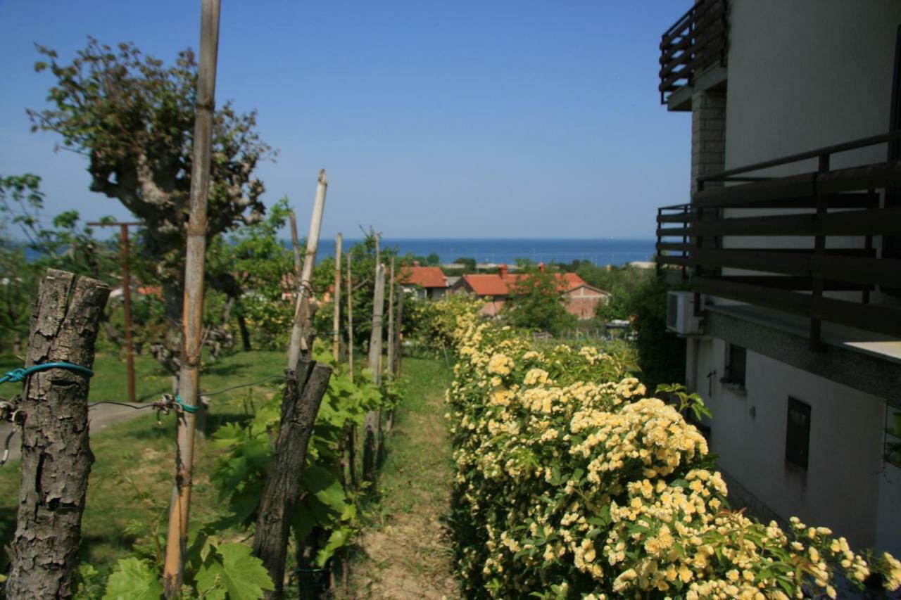Apartma Tul Izola Bagian luar foto