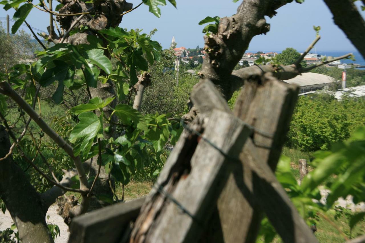 Apartma Tul Izola Bagian luar foto